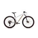 Bicicleta Cross Country SPZ Rockhopper Expert 2025 SILDST/BNTGLDMET